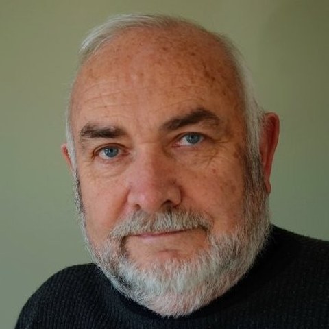 Robin Johansen