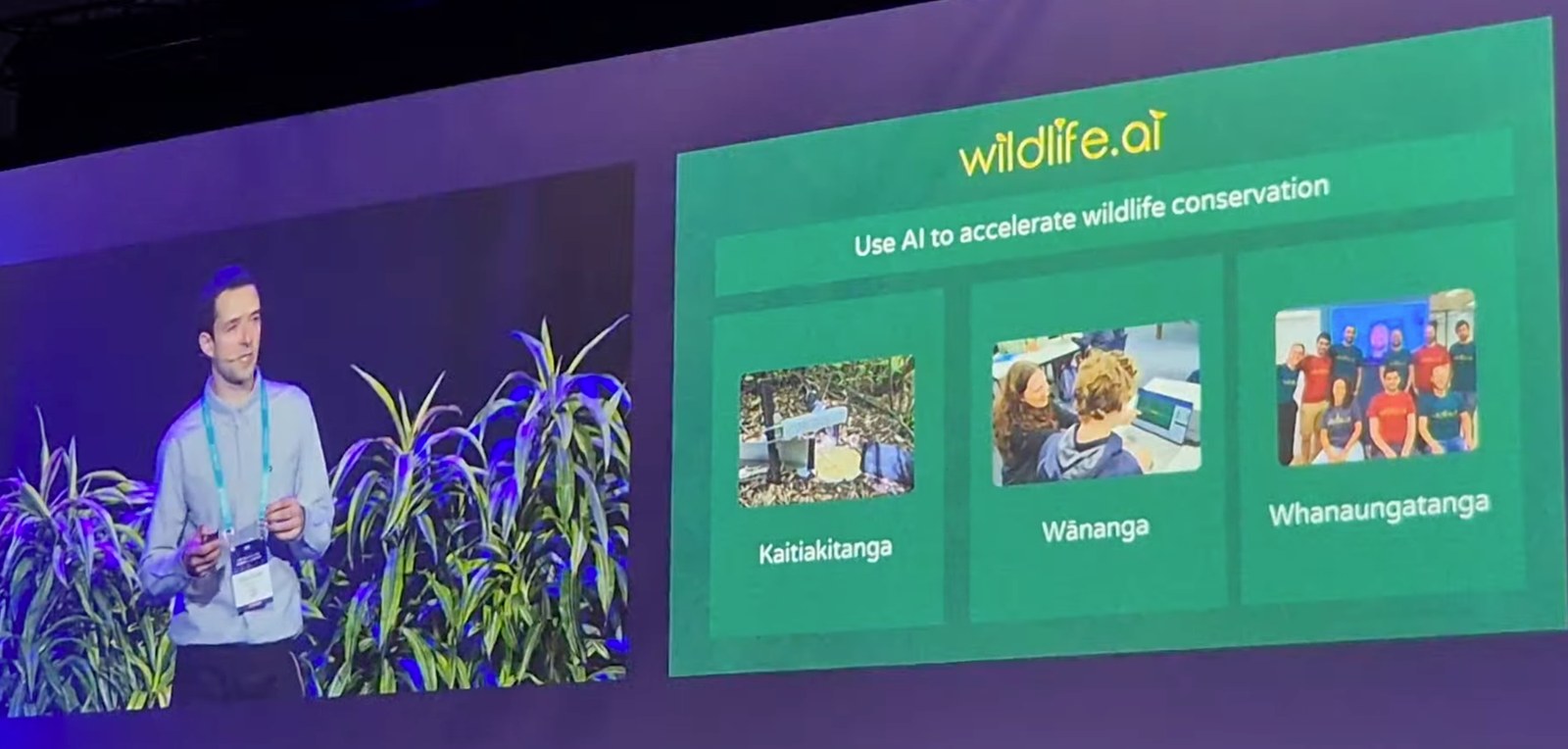 Victor Anton presenting the Wildlife.ai mission slide showing Kaitiakitanga, Wananga and Whanaungatanga